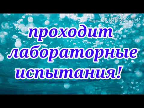 Видео: 95-летие АО "Кимрская фабрика им. Горького"