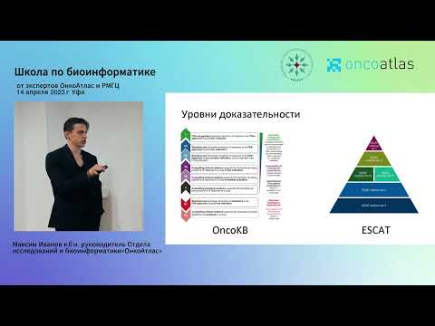Видео: Общие принципы интерпретации результатов и формирования отчета - Максим Иванов