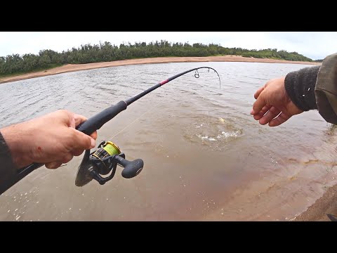 Видео: РЫБАЛКА В МУТНОЙ ВОДЕ, ГДЕ СТОЯТ КРУПНЫЕ РЫБЫ. ЛОВЛЯ НА СПИННИНГ С БЕРЕГА. ЩУКИ, ОКУНЯ.