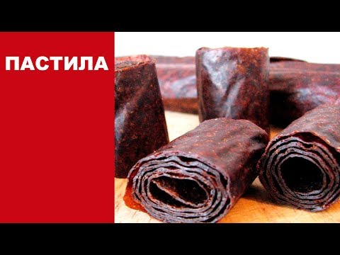 Видео: Живая пастила из слив | сливовая пастила в сушилке