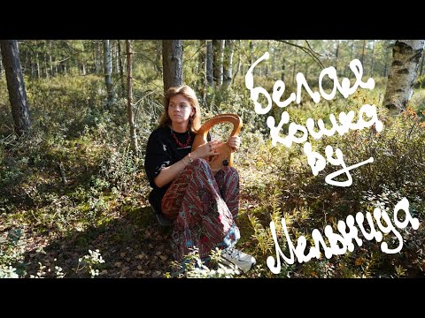 Видео: БЕЛАЯ КОШКА - МЕЛЬНИЦА. ЛИРОВАЯ АРФА И ФЛЕЙТА