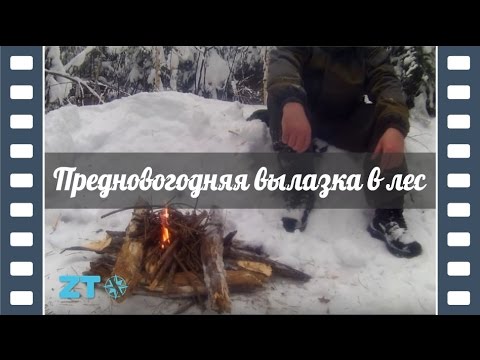 Видео: Вылазка в зимний лес. Декабрь 2016.
