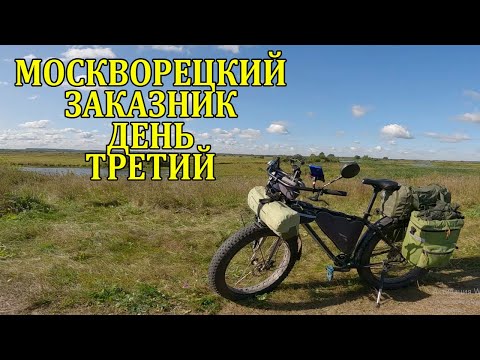 Видео: Москворецкий заказник  День третий