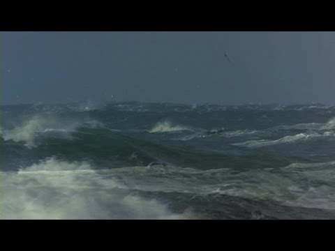 Видео: не кончается синее море