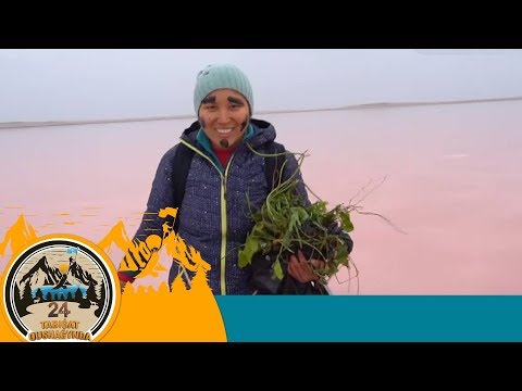 Видео: 24 SAǴAT TABIǴAT QUSHAǴYNDA (24 сағат табиғат құшағында). 12-бағдарлама