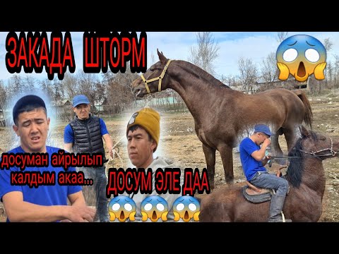 Видео: ЗАКАДА  келишкен ӨСПҮРҮМ   бирге жүргөн ДОСУМ эле да Акаа 🥺...... 14.03.2022