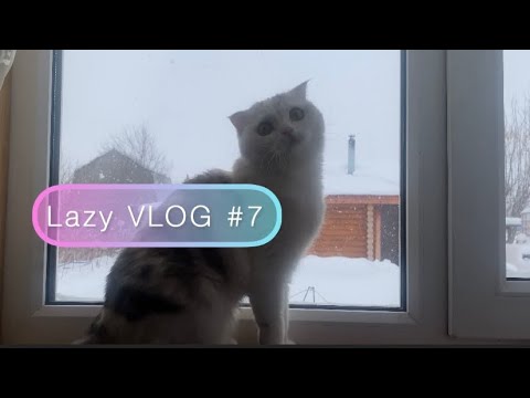 Видео: Lazy VLOG #7 | Новый год , новогодний стол, рецепт «Королевской Ватрушки»