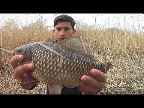 Видео: Рыбалка на ЧЕРВЕЙ-ГИГАНТОВ выползков. Сазан и гиганские караси.