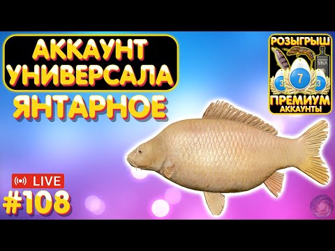 Видео: Янтарное 🔥 ПРЕМЫ и ЗОЛОТО в Телеге и на Trovo 🎁 Аккаунт универсала #108 🔥 Русская Рыбалка 4 #1141