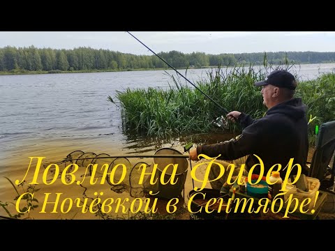 Видео: ТАМ ВСЯ РЫБА! ЗАБРОСИЛ В КОРЧИ И ПОШЁЛ КЛЁВ! НОВОЕ МЕСТО ПОРАДОВАЛО УЛОВОМ!