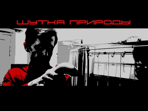 Видео: ШУТКА ПРИРОДЫ
