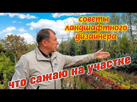 Видео: Ландшафтный дизайн: как выбрать идеальные растения🌳 Советы ландшафтного дизайнера 🌳