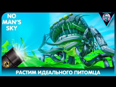 Видео: No Man's Sky | Растим идеального питомца | Companions | Гайд