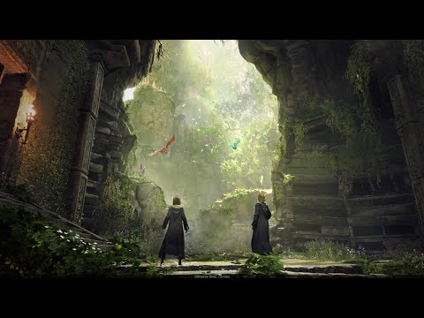 Видео: Хогвардс: Наследие PS4