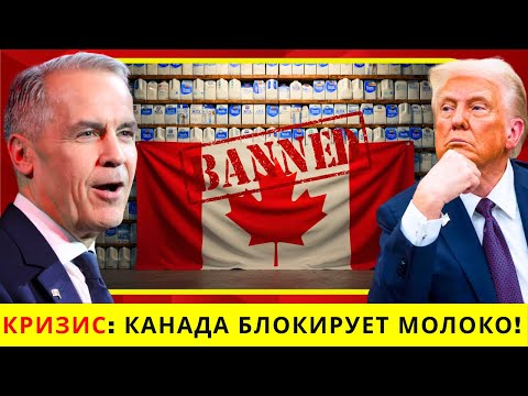 Видео: КАНАДА УНИЖАЕТ США: 3 МЛРД ДОЛЛАРОВ МОЛОКА ОТКЛОНЕНЫ, ФЕРМЫ НА ГРАНИ КРАХА