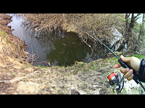 Видео: ЖЕСТЬ! ДА СКОЛЬКО ЖЕ РЫБЫ В ЭТОМ РУЧЬЕ? Рыбалка в пойме во время разлива