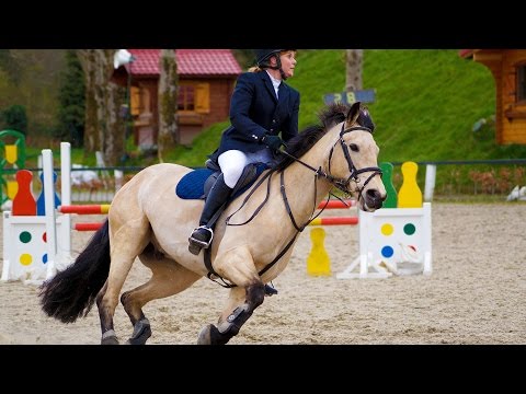 Видео: 140 см. Гран При "Профи класс". Конкур в с. Круглик г. Киев. КСК "Flying Horse Club". 25.09.2016 г.