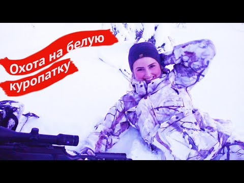Видео: Охота на белую куропатку. Охотничьи приключения в Норвегии (Охотник и рыболов)