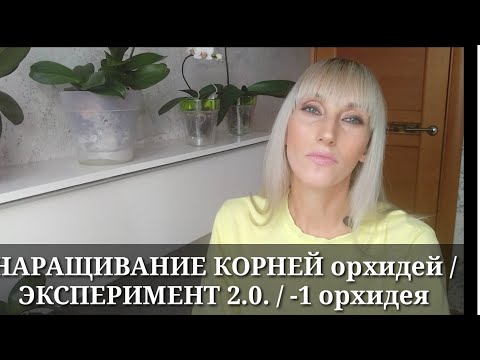 Видео: НАРАЩИВАНИЕ КОРНЕЙ орхидей В ПЕРЛИТЕ / НАРАЩИВАНИЕ КОРНЕЙ орхидеи ВО МХЕ / Эксперимент 2.0