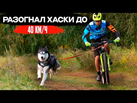 Видео: Личные рекорды | Гонка по размытой трассе и стартовый протокол на суе-фа