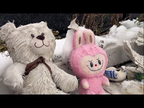 Видео: ЕГО СПАСАЛИ , НО ОН НЕ ЗАХОТЕЛ ЖИТЬ ПО ДРУГОМУ  … МОГИЛА ЖЕНИ ОСИНА | ТРОЕКУРОВСКОЕ 17 НОЯБРЯ 2025 