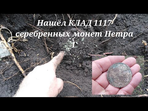 Видео: Клад времён Пётр 1, 1117 монет.