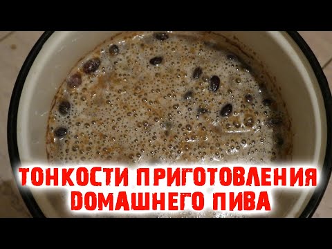 Видео: Домашнее пиво из хлеба Из домашних дрожжей Простой рецепт Секреты приготовления