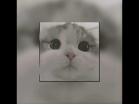 Видео: SPEED SONG/Ла-ла-ла Жанна Фриске