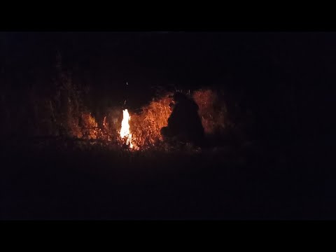 Видео: Конец октября , пробую ловить налима. Греюсь у костра. Река Кинель, Самарская область.