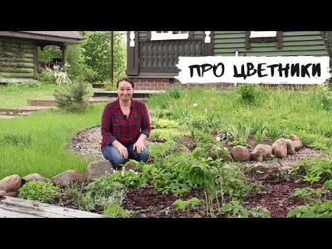 Видео: Про цветники на нашем участке