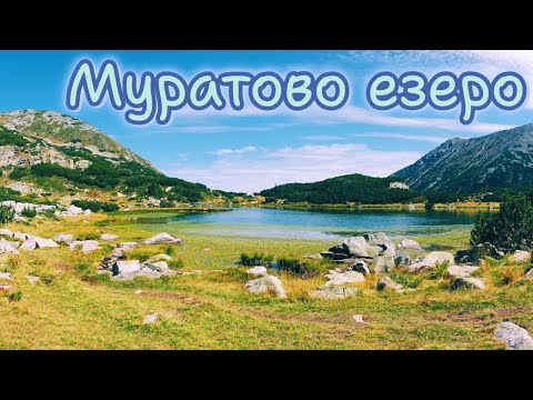 Видео: Еднодневен преход до Муратово езеро, Пирин 🏔️🚶‍♀️