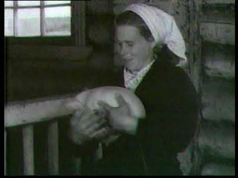 Видео: Киножурнал Советская Карелия 1957 Сентябрь