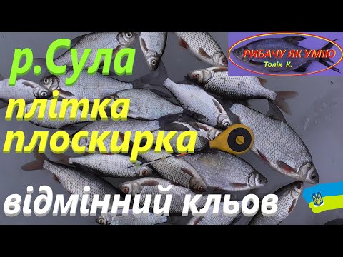 Видео: #Сула # Оце КЛЬОВ #РибачуЯкУмію