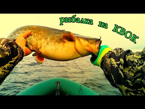 Видео: РЫБАЛКА на КВОК. 21.06