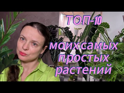 Видео: Растения без заморочек ДЛЯ НОВИЧКОВ или ЛЮБИТЕЛЕЙ