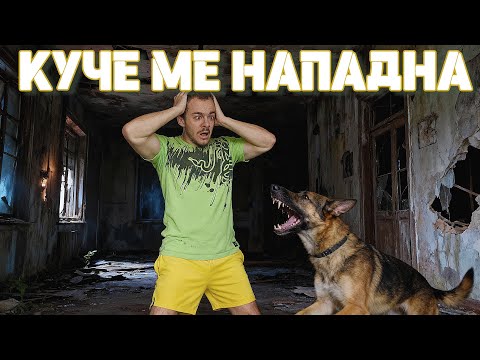 Видео: НАПАДНА МЕ КУЧЕ В ИЗОСТАВЕН РЕСТОРАНТ (ИЗОСТАВЕНА ВАРНА ЕП.5)