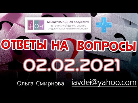Видео: Ответы на вопросы. 02.02.2021