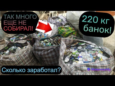 Видео: ВЕЗУ СДАВАТЬ 220 КГ АЛЮМИНИЕВЫХ БАНОК! СКОЛЬКО ЗАРАБОТАЛ?