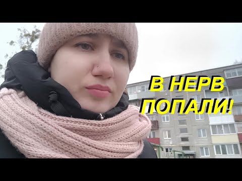 Видео: VLOG: 05.12.2022 СТАЛО ПЛОХО У СТОМАТОЛОГА / ФОРМЫ ПОЛУЧИЛИСЬ / ПОЛИНА УЧИТ УРОКИ САМА ТЕПЕРЬ