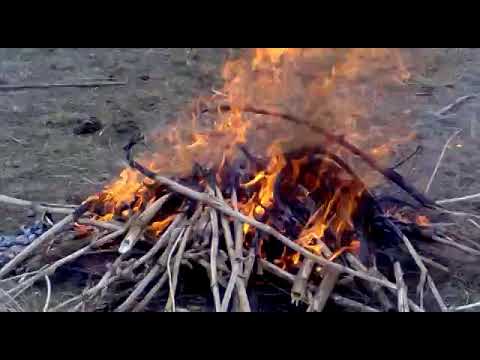 Видео: Декдонак