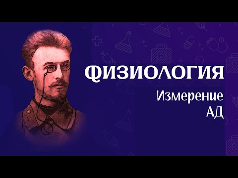 Видео: Физиология | определение АД