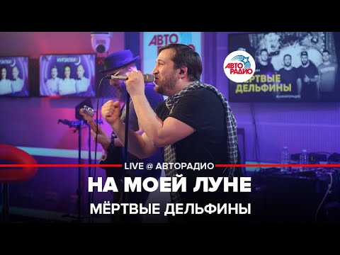 Видео: Мёртвые дельфины - На Моей Луне (LIVE@ Авторадио)