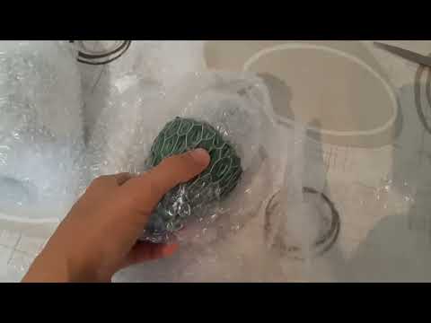 Видео: пересадки и распаковка посылки с керамикой