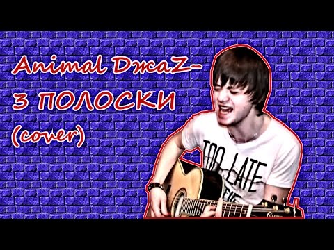 Видео: Animal ДжаZ - 3 полоски Кавер