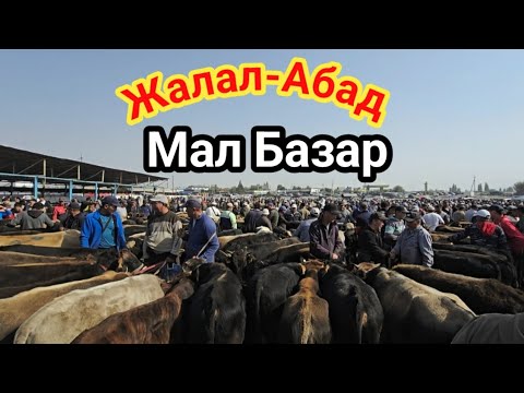 Видео: Мал Базар Жалал-Абад 