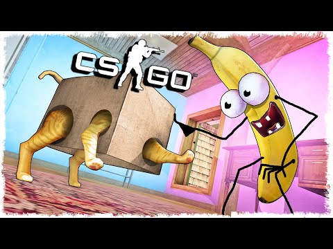 Видео: ТРОЛЛЬ БАНАН vs КОТ МАНЬЯК В CS:GO!!!