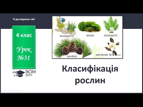 Видео: я досліджую світ 4 клас Класифікація рослин
