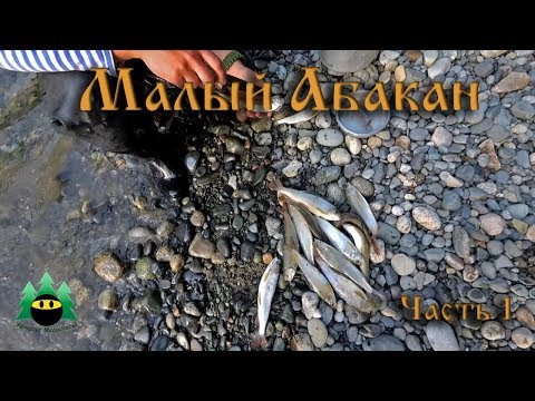 Видео: Малый Абакан, рыбалка (часть 1) | Small Abakan, fishing (part 1)