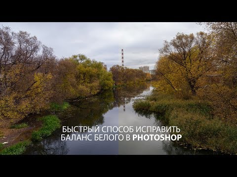 Видео: Экспериментальный способ найти точку серого на фото в Фотошопе и исправить баланс белого