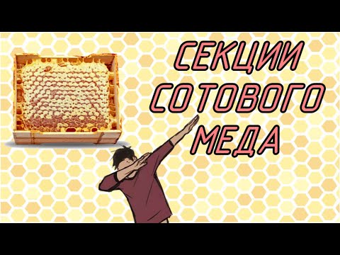 Видео: Успешная добыча сотового меда. Что нужно сделать, чтобы пчела стала носить мед?